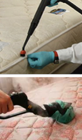 pest control equipment