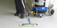 steam cleaning equipment