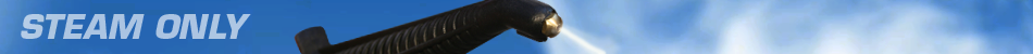 steam-only.png