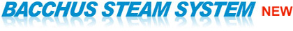 Bacchus Steam System