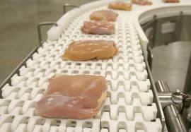 food-conveyor-belt