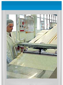 Conveyor Belt Cleaning Solutions with Tecnovap Steam machines