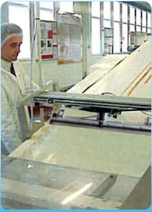conveyor-cleaner