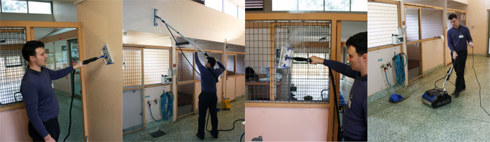 vet-cleaning