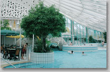 swimmingpoolimg swimmingpoolimg