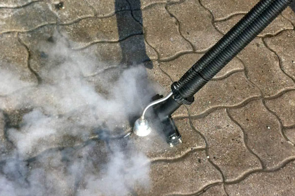 high temperature, nearly-dry steam vapour provides an effective means of removing fresh or hardened chewing gum from timber, concrete, plaster walls or brickwork