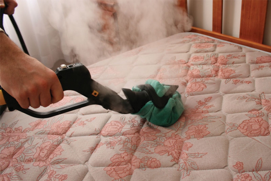 sanitise mattresses and bed bases, with professional steam vapour powered cleaning equipment and eliminate bed bugs