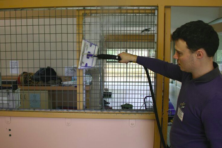 Vacuum Systems for Cleaning Vet Clinics & Animal Treatment Rooms